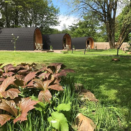 Wilding On A Whim Hotel West Linton Exterior photo